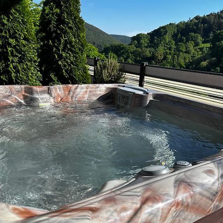 Wellness Fewo Szymecki Шёнау Экстерьер фото